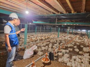 Pemerintah Pastikan Tarif Listrik Tetap Hingga Juni! Semester II/2024 Belum Tentu?