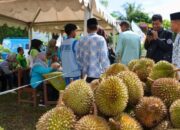 Wow..! 2.500 Buah Durian Dibagikan di Puncak Festival Durian Solok Selatan 2024
