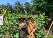 Ketua TP PKK Pasaman Barat Cek Lokasi Pusat Lomba Gerak PKK Tingkat Sumbar di Nagari Tandikek Kinali