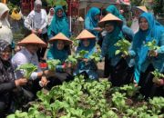 Tandikek, Nagari Baru Berdiri Wakili Pasaman Barat Lombar Gerak PKK Tingkat Sumbar