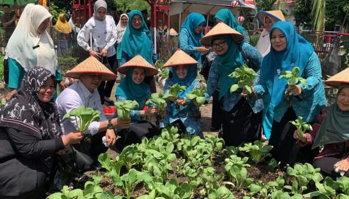 Tandikek, Nagari Baru Berdiri Wakili Pasaman Barat Lombar Gerak PKK Tingkat Sumbar