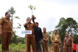 6.000 Bibit Buah Produktif Bantuan BPDAS Agam Kuantan Ditanam di Sipora Mentawai