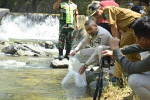 Wagub Audy Joinaldy Tebar 8.000 Ekor Bibit Garing di Sawahlunto