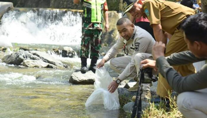 Wagub Audy Joinaldy Tebar 8.000 Ekor Bibit Garing di Sawahlunto