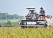 Lirik Sektor Pertanian, Perusahaan ERATANI Tawarakan Kerjasama dengan Kabupaten Solok