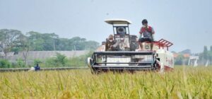 Lirik Sektor Pertanian, Perusahaan ERATANI Tawarakan Kerjasama dengan Kabupaten Solok