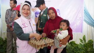 Kiprah Wisriza, Srikandi PLN UID Sumbar Terjang Ombak Mentawai Demi Listrik Masyarakat di Pulau Terpencil