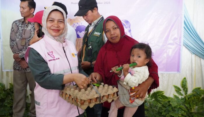 Kiprah Wisriza, Srikandi PLN UID Sumbar Terjang Ombak Mentawai Demi Listrik Masyarakat di Pulau Terpencil