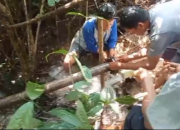 BUMDes Batu Jonggi Kumanis Gerak Cepat Perbaiki Pipa Air Bersih di Jorong Tanjung Alam