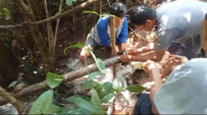 BUMDes Batu Jonggi Kumanis Gerak Cepat Perbaiki Pipa Air Bersih di Jorong Tanjung Alam