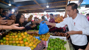 Pedagang Pasar Berastagi Terharu Dikunjungi Presiden Jokowi Berbelanja Buah dan Sayur 