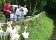 Masih di Sumatera Utara, Presiden Jokowi dan Keluarga Berlebaran Nikmati Asrinya Alam Deli Serdang