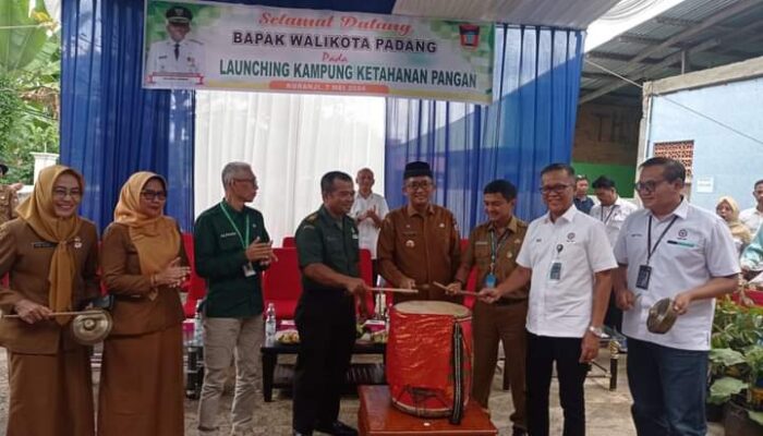 Didukung CSR PT Semen Padang, Walikota Hendri Septa Lounching Kelurahan Kuranji Sebagai Kampung Ketahanan Pangan