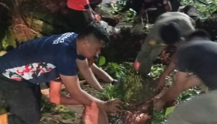 Waspada Banjir! Hujan Deras Disertai Angin Kencang Kembali Melanda Kota Padang