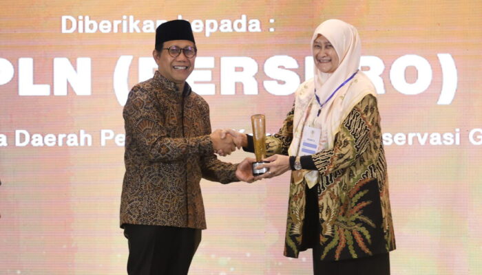 Banjir Prestasi, PLN Group Boyong 22 Penghargaan CSR Awards 2024 Kementerian Desa PDTT