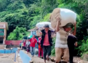 Jalan Putus, Petani Nagari Singgalang Keluarkan Biaya Ekstra Bawa Sayur Mayur ke Pasar Bukik Surungan Padang Panjang