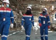 Sukses Pertamina Kelola Blok Migas Raksasa Jadi Simbol Kebangkitan Energi Nasional 