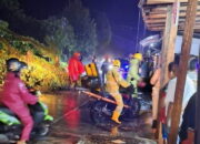 Pohon Pelindung Bertumbangan Dihantam Hujan Badai di Kota Pariaman