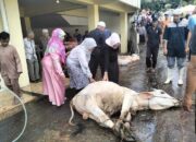 Padang Panjang Sembelih 620 Hewan Kurban pada Idul Adha Tahun Ini