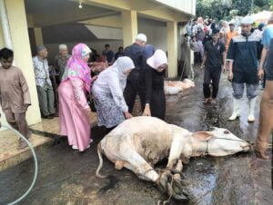 Padang Panjang Sembelih 620 Hewan Kurban pada Idul Adha Tahun Ini
