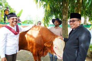 Sapi Kurban Berbobot 1 Ton dari Bupati Eka Putra dan Keluarga Disembelih di Masjid Muhammadiyah Pagaruyung