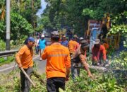 Antisipasi Gangguan, PLN UP3 Padang Bersihkan Jaringan Listrik dari Pepohonan