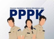Ada Apa Pesisir Selatan? PPPK Daerah Lain Sudah Lama Terima SK, Pessel Masih Saja dalam Proses!