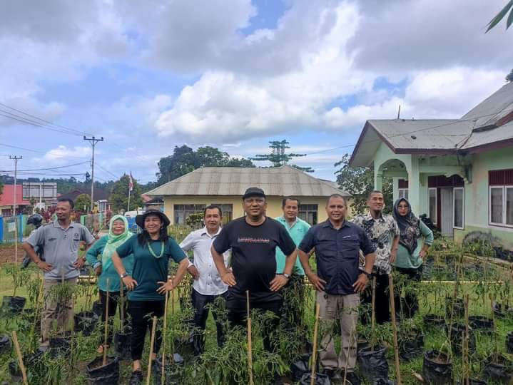 Desa Sidomakmur Kepulauan Mentawai Kembangkan Tanaman Cabai dan Jagung