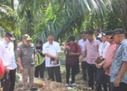 BRIN Janji Bantu Pengembangan Usaha Tani Gula Merah dari Batang Sawit di Pasaman Barat 