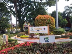 Setelah Mati Suri, Taman Sisingamangaraja Kota Padang Hidup Kembali