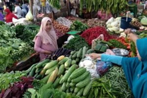 Pasokan Melimpah, Harga Cabai, Bawang Merah dan Telur Turun Pekan Ini