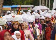 Kerinduan Perantau Lintau Terobati, Arakan 1.000 Lopek Kucuik Takuluak Balenggek Meriahkan Alek Nagari Lubuak Jantan Bolek Tapai