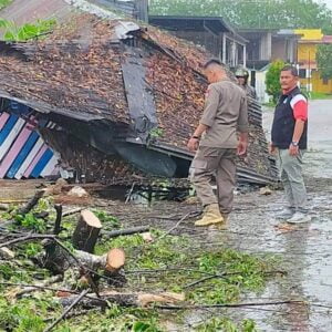 Cuaca Ekstrem Landa Kota Padang, Pohon Tumbang Timpa Rumah Warga dan Jaringan Listrik