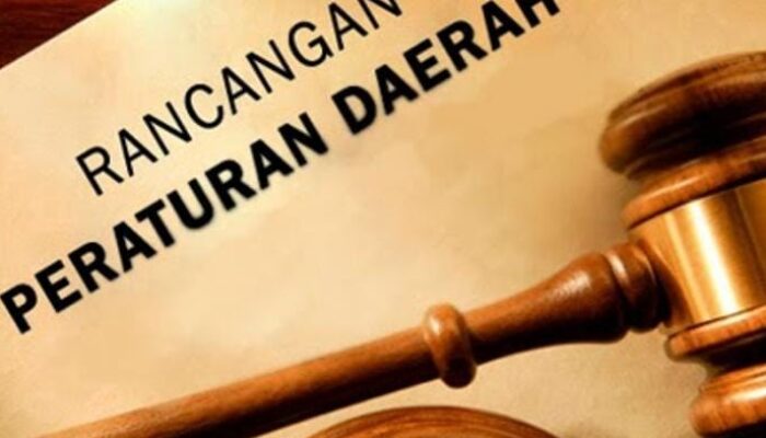 Pemkab-DPRD Solok Selatan Siapkan 15 Ranperda untuk Tahun 2025! Ada Catin Wajib Baca Alquran