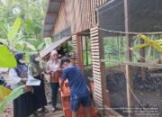 Poktan di Pariaman Terima Bantuan 3.500 Ekor Ayam KUB dan Itik Lengkap dengan Pangan dan Obat-obatan