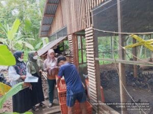 Poktan di Pariaman Terima Bantuan 3.500 Ekor Ayam KUB dan Itik Lengkap dengan Pangan dan Obat-obatan