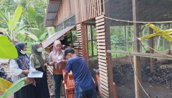 Poktan di Pariaman Terima Bantuan 3.500 Ekor Ayam KUB dan Itik Lengkap dengan Pangan dan Obat-obatan