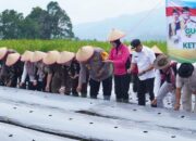 Dukung Ketahanan Pangan Nasional, Polisi di Padang Panjang Turun ke Sawah
