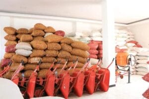 Tembus Pasar Luar Negeri, Pinang Pariaman Diekspor ke India