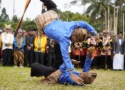 Festival Alu Katentong dan Pacu Jawi Nagari Padang Laweh Tanah Datar Berlangsung Semarak