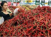 Harga Cabai Merah Anjlok di Padang Panjang, Ayam Potong Terus Melambung
