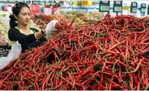 Harga Cabai Merah Anjlok di Padang Panjang, Ayam Potong Terus Melambung