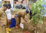 BWSS V Padang Hijaukan Daerah Aliran Sungai dengan Tanaman Pohon Buah-buahan