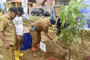 BWSS V Padang Hijaukan Daerah Aliran Sungai dengan Tanaman Pohon Buah-buahan