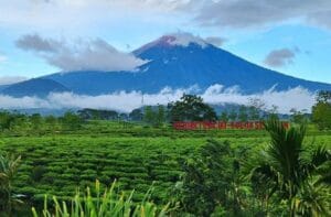 Solok Selatan Buka Gerbang Pendakian Gunung Kerinci, Jarak Tempuh Singkat dan View Lebih Cantik