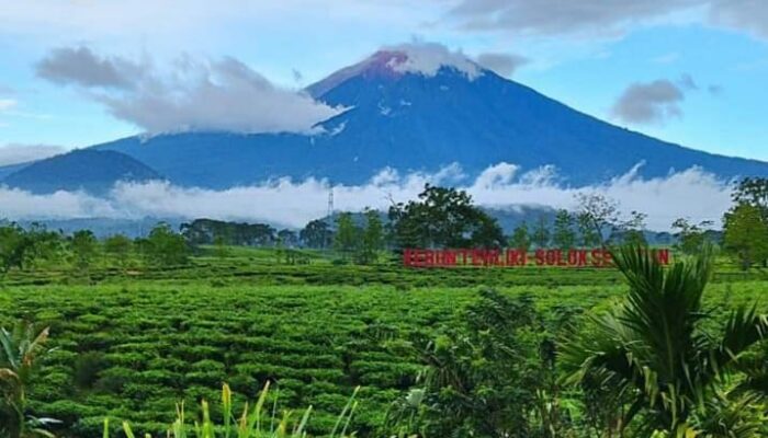 Solok Selatan Buka Gerbang Pendakian Gunung Kerinci, Jarak Tempuh Singkat dan View Lebih Cantik