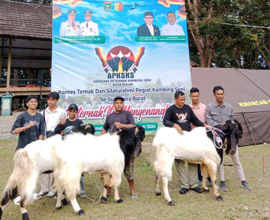 Beragam Kambing Unggulan dari Berbagai Daerah di Sumatera Barat” Tampil di “Kontes Ternak Kambing Seni Kota Solok 2024”