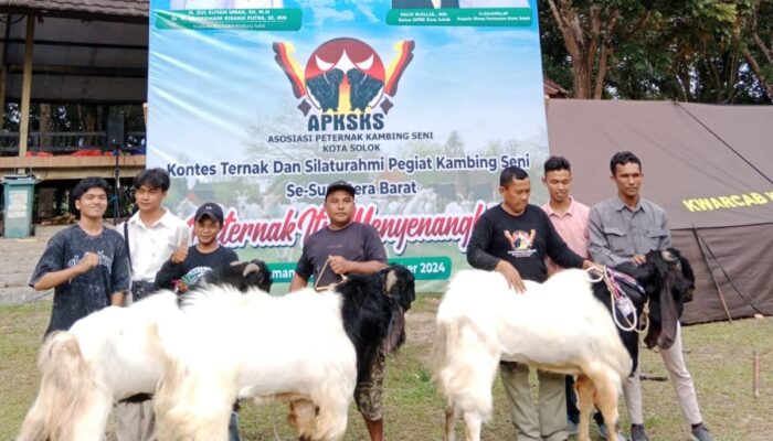 Beragam Kambing Unggulan dari Berbagai Daerah di Sumatera Barat” Tampil di “Kontes Ternak Kambing Seni Kota Solok 2024”