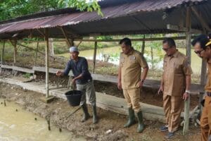 Nagari Ampang Kuranji Dharmasraya Berdayakan Semua Potensi Lahan untuk Ketahanan Pangan