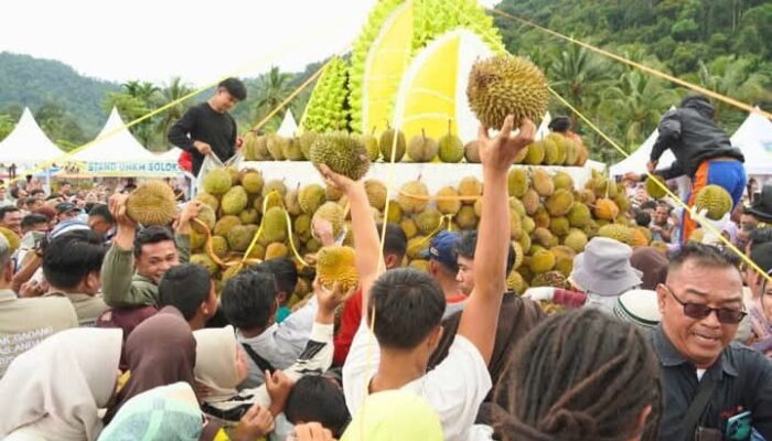 Warga Solok Selatan “Balanjuang” Ribuan Durian Bersama Bupati dan Gubernur Sumbar